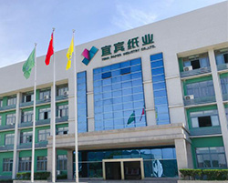 Yibin Paper Industry